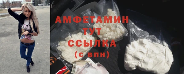 индика Богданович
