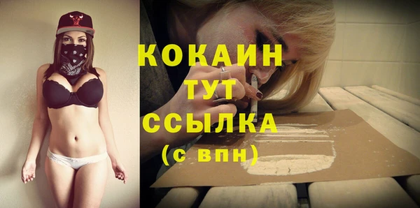 дмт Медвежьегорск