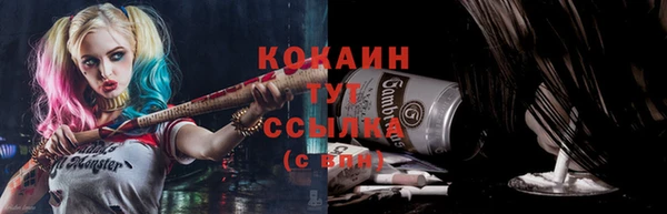 стаф Мегион