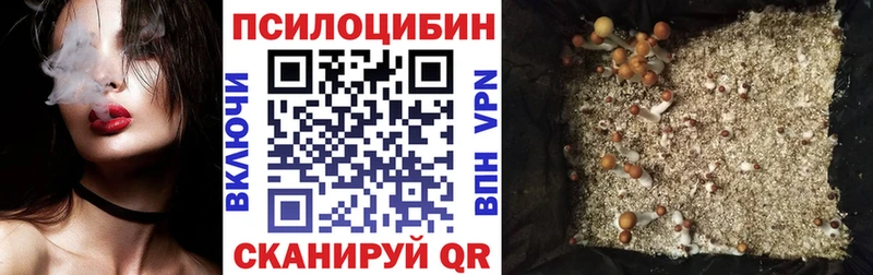 Псилоцибиновые грибы Cubensis  Починок 